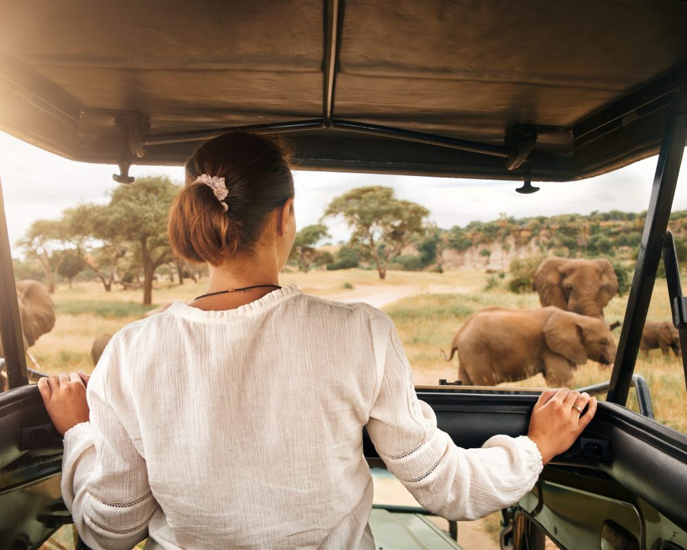 Woman tourist on safari in Africa, traveling by car with an open roof in Kenya and Tanzania, watching elephants in the savannah - Viking Travel