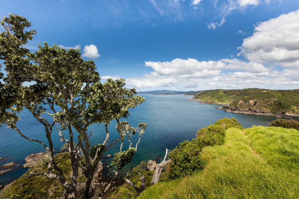 Landscape from Russell near Paihia, Bay of Islands, New Zealand - Viking Travel