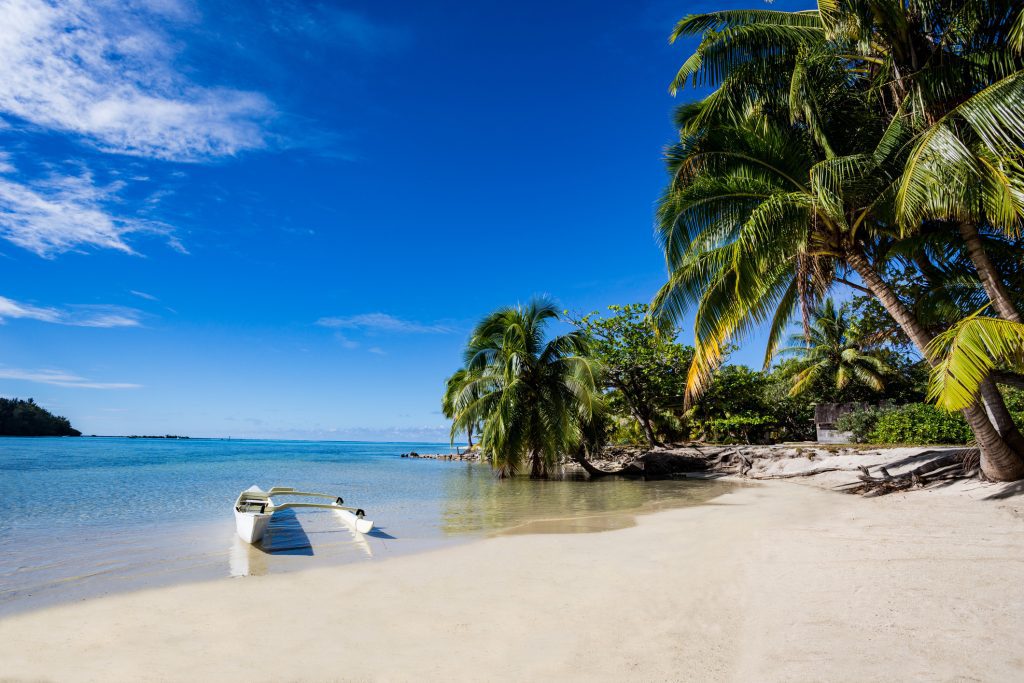 Sandy beach in Tahiti with lush palm trees and blue ocean - Viking Travel