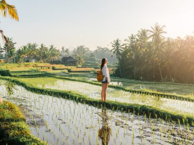 Woman on Tegallalang rice field on Bali, Indonesia - Viking Travel
