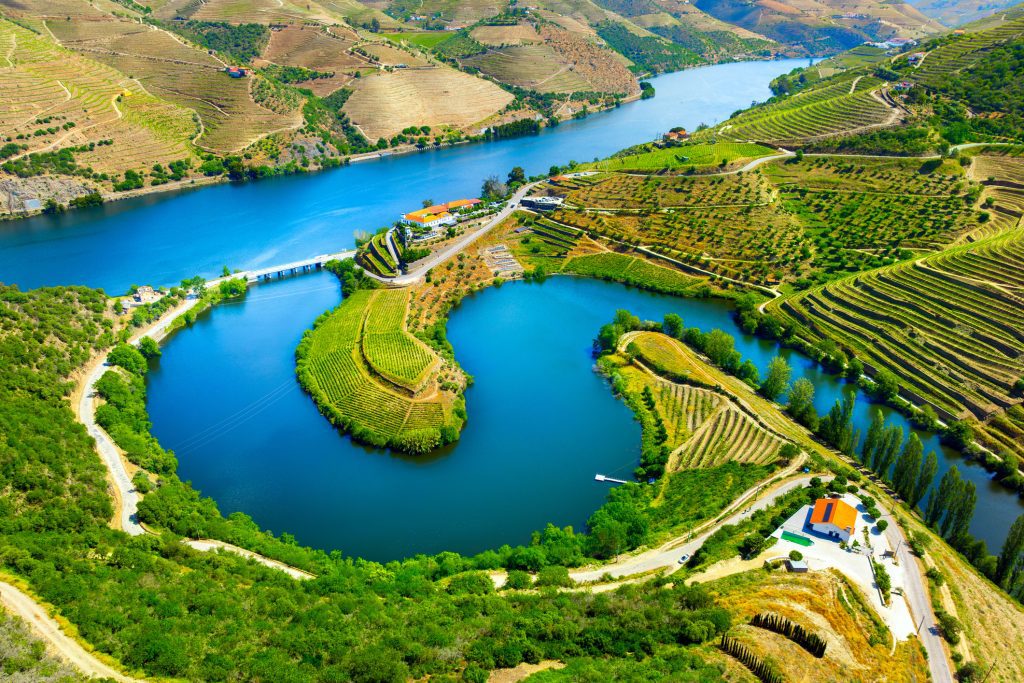 Aerial view of the terraces of the Douro Vineyards - Viking Travel