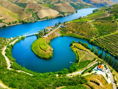 Aerial view of the terraces of the Douro Vineyards - Viking Travel