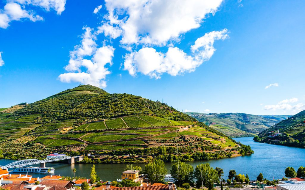View on Landscape Of Douro Vineyards